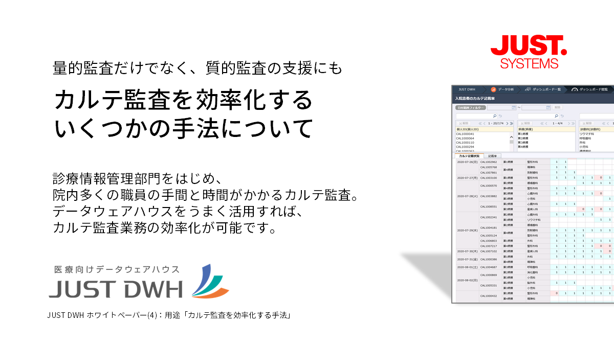 JUST DWH ホワイトペーパー カルテ監査を効率化する手法